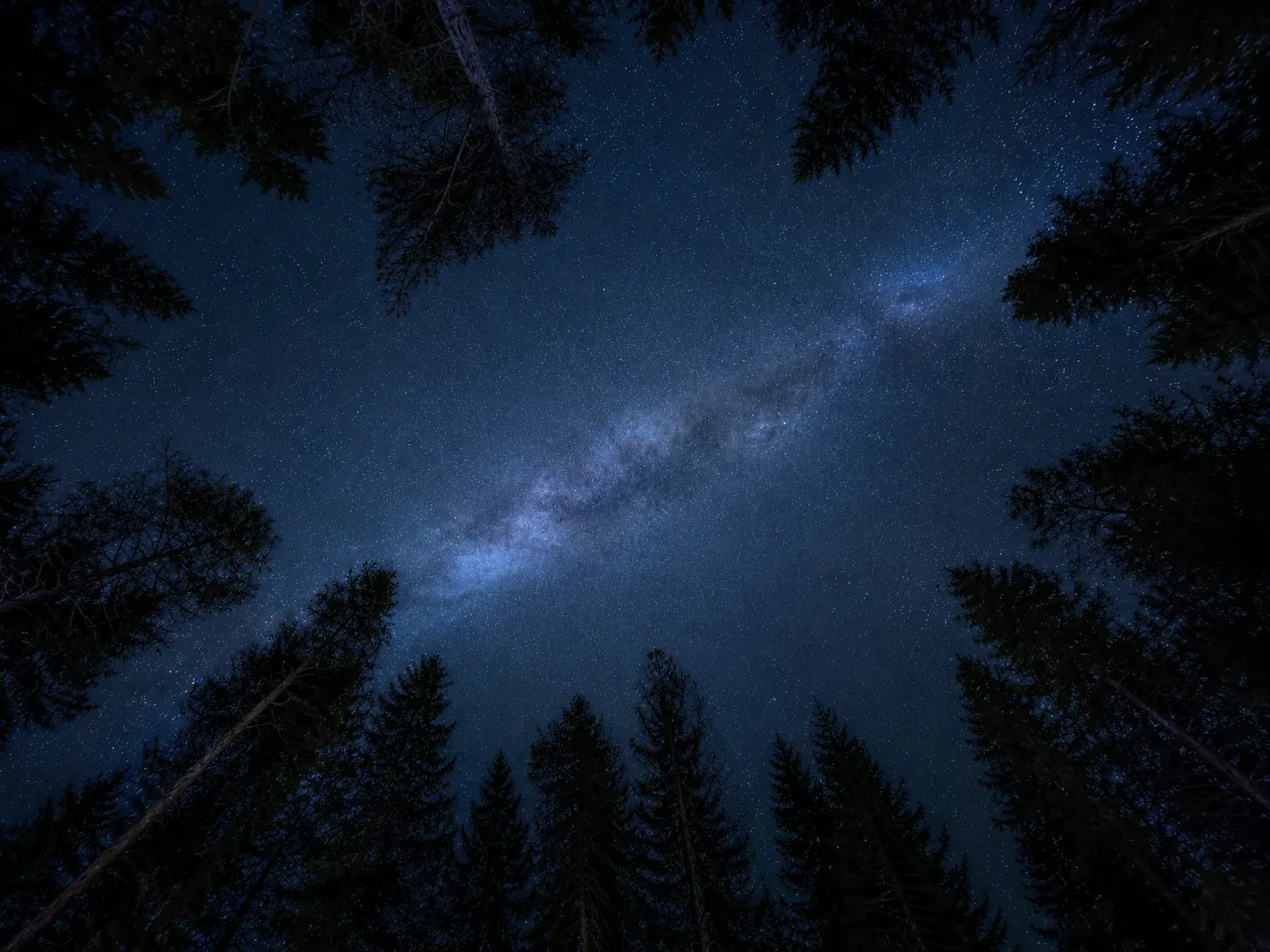 Samma stjärnhimmel
